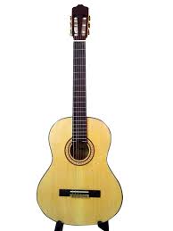 Đàn Acoustic Guitar GA- 10 EL
